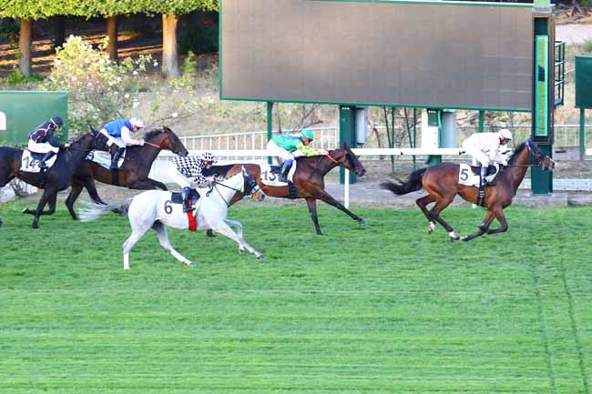 Photo d'arrivée de la course pmu PRIX DE LA GARE DE SAINT-CLOUD à SAINT-CLOUD le Mercredi 18 septembre 2019