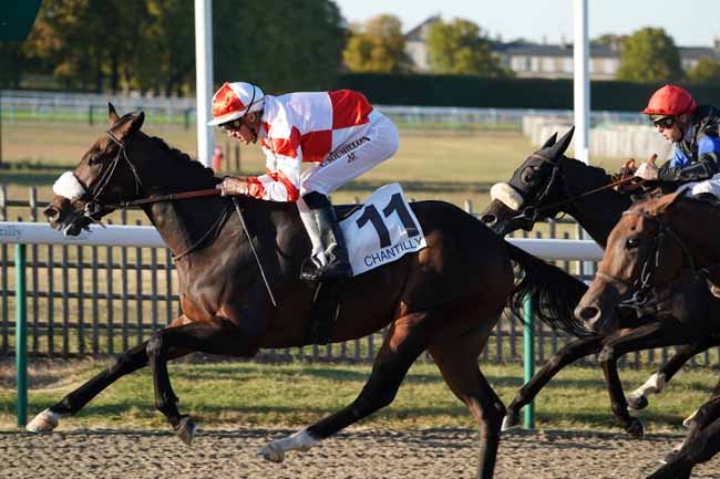Photo d'arrivée de la course pmu PRIX DU MARAIS DOZET à CHANTILLY le Vendredi 20 septembre 2019