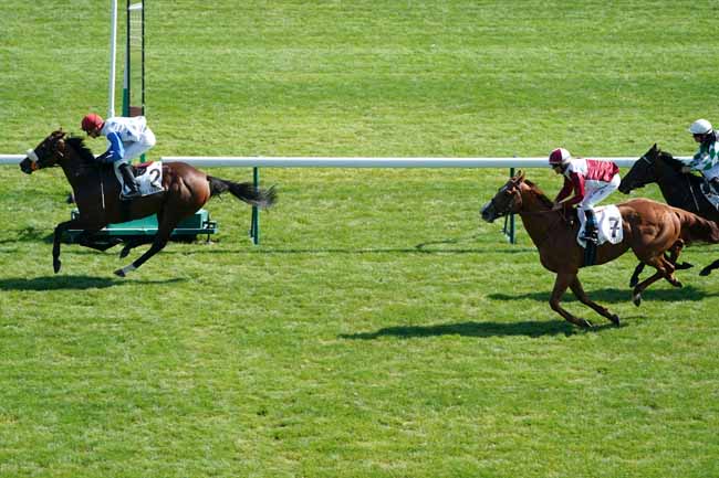 Photo d'arrivée de la course pmu PRIX DES BOUFFES PARISIENS à LONGCHAMP le Samedi 21 septembre 2019