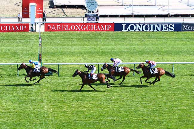 Photo d'arrivée de la course pmu GRAND PRIX DES ANGLO-ARABES à LONGCHAMP le Samedi 21 septembre 2019