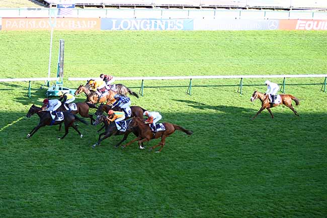 Photo d'arrivée de la course pmu PRIX DE LA COUR DES NOUES à LONGCHAMP le Samedi 21 septembre 2019