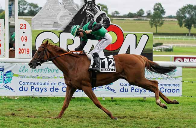 Photo d'arrivée de la course pmu PRIX DE CHAMPAGNE à CRAON le Lundi 23 septembre 2019