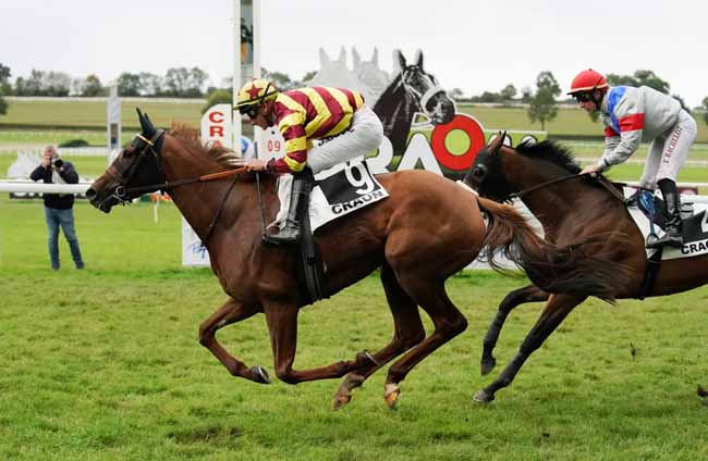 Photo d'arrivée de la course pmu PRIX CLAUDE DE LANGLE à CRAON le Lundi 23 septembre 2019