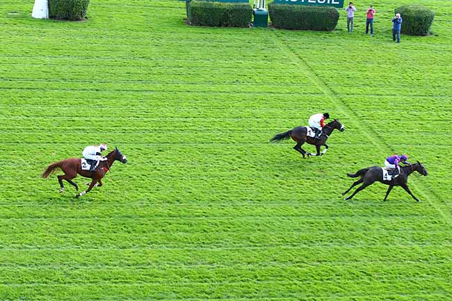 Photo d'arrivée de la course pmu PRIX ROBERT LEJEUNE à AUTEUIL le Lundi 23 septembre 2019