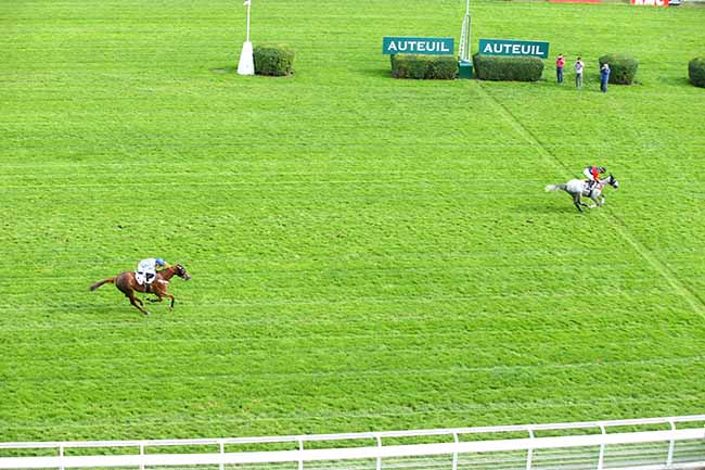 Photo d'arrivée de la course pmu PRIX CALABRAIS à AUTEUIL le Lundi 23 septembre 2019