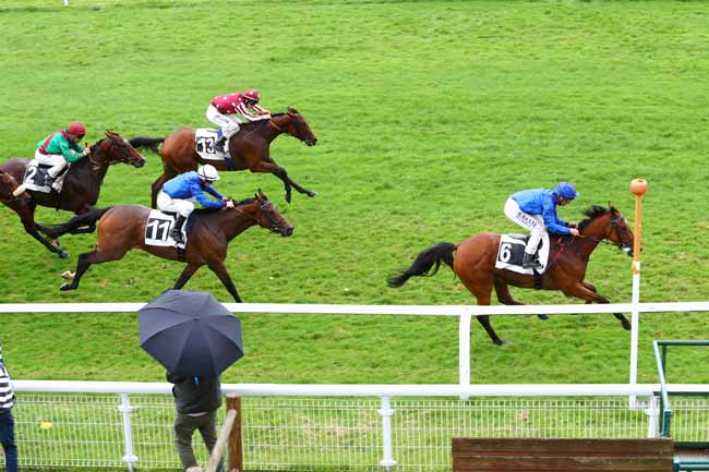 Photo d'arrivée de la course pmu PRIX CHATEAU LANDON à FONTAINEBLEAU le Mardi 24 septembre 2019