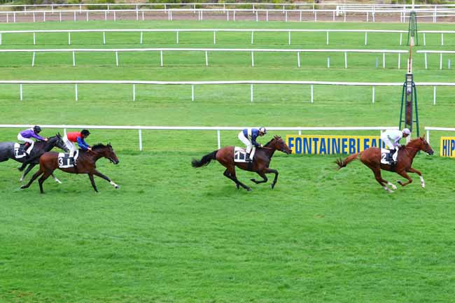 Photo d'arrivée de la course pmu PRIX GUY THIBAULT à FONTAINEBLEAU le Mardi 24 septembre 2019