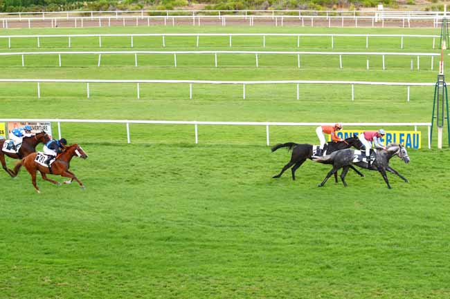 Photo d'arrivée de la course pmu PRIX DE LA SAPINIERE à FONTAINEBLEAU le Mardi 24 septembre 2019