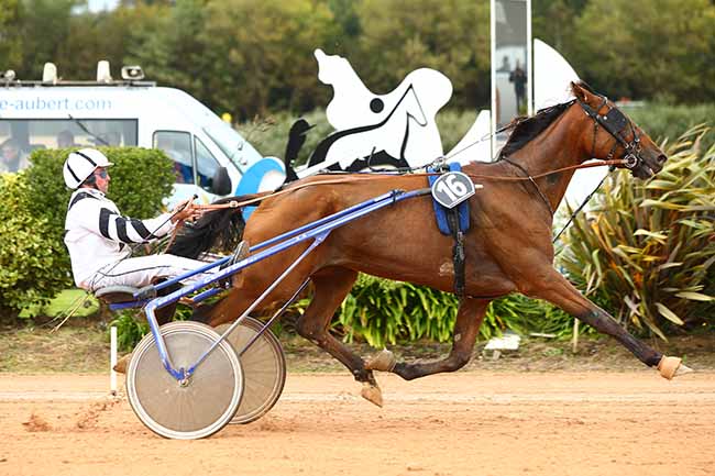 Photo d'arrivée de la course pmu PRIX MAITRES LAITIERS DU COTENTIN à CHERBOURG le Mercredi 25 septembre 2019