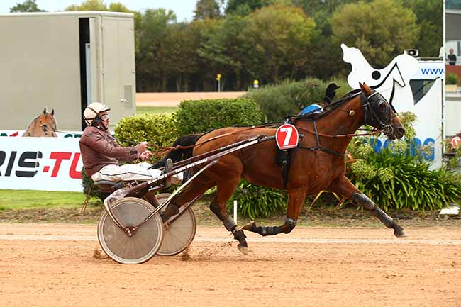 Photo d'arrivée de la course pmu PRIX PMU LA FAUCONNIERE à CHERBOURG le Mercredi 25 septembre 2019