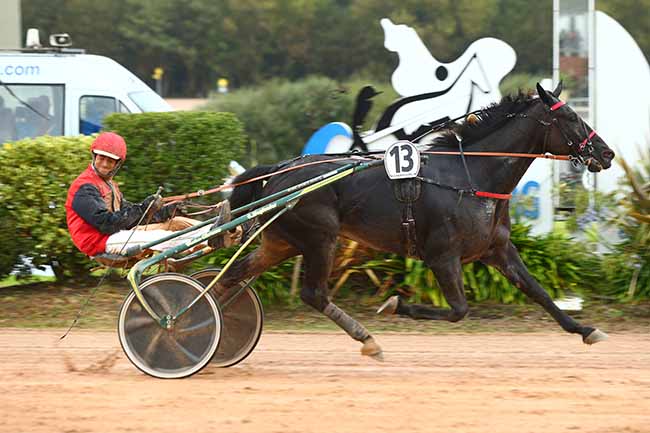 Photo d'arrivée de la course pmu PRIX DU CONSEIL DEPARTEMENTAL DE LA MANCHE à CHERBOURG le Mercredi 25 septembre 2019