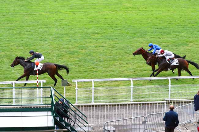 Photo d'arrivée de la course pmu PRIX MOTRICO à MAISONS-LAFFITTE le Mercredi 25 septembre 2019