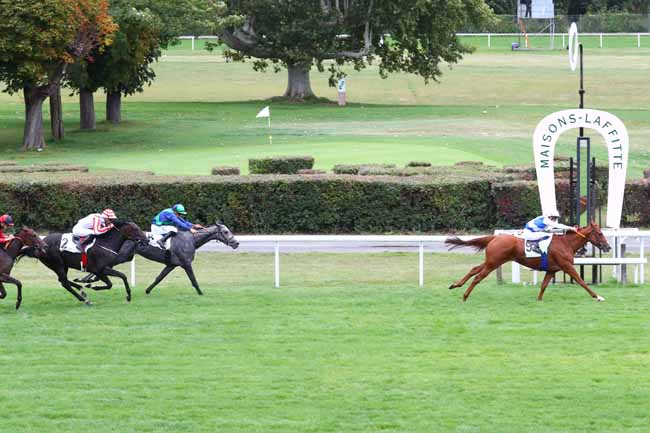 Photo d'arrivée de la course pmu PRIX KASTEEL à MAISONS-LAFFITTE le Mercredi 25 septembre 2019