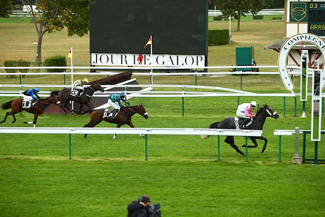 Photo d'arrivée de la course pmu PRIX BULAN à COMPIEGNE le Jeudi 26 septembre 2019