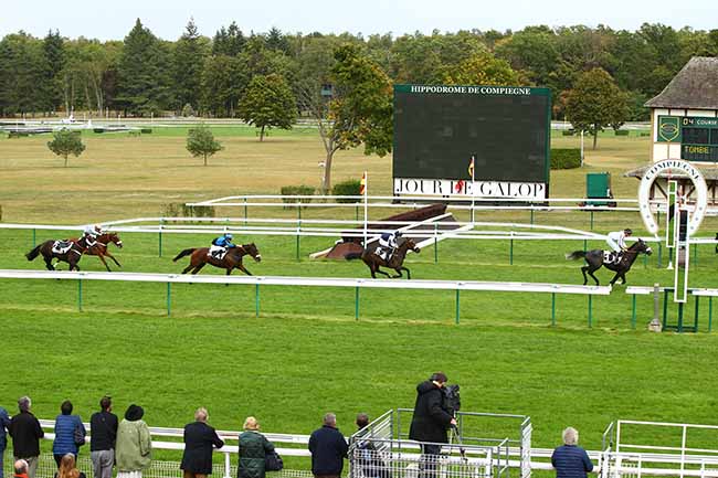 Photo d'arrivée de la course pmu PRIX TAFFETAS à COMPIEGNE le Jeudi 26 septembre 2019