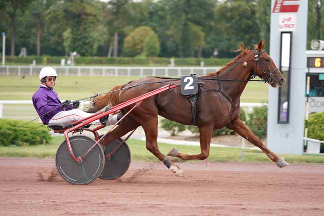 Photo d'arrivée de la course pmu PRIX DU COTENTIN à ENGHIEN le Jeudi 26 septembre 2019