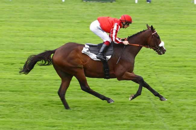 Photo d'arrivée de la course pmu PRIX DU BOURBONNAIS à SAINT-CLOUD le Vendredi 27 septembre 2019