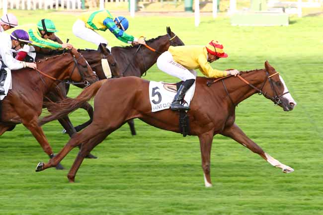 Photo d'arrivée de la course pmu PRIX DE GARGENVILLE à SAINT-CLOUD le Vendredi 27 septembre 2019
