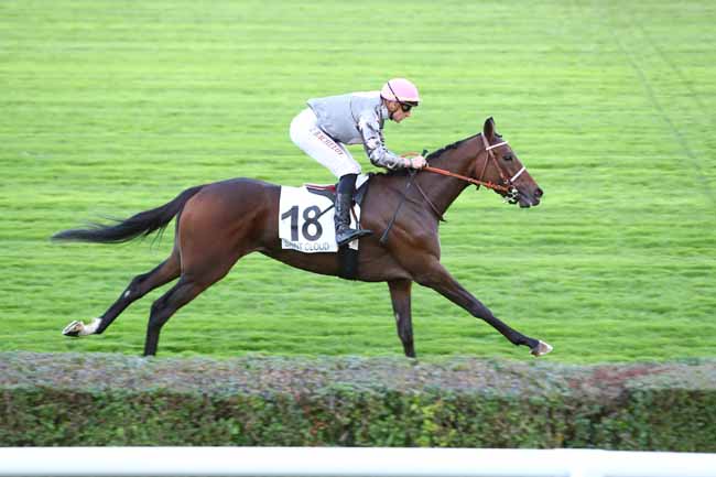Photo d'arrivée de la course pmu PRIX DU LIEU FERAL à SAINT-CLOUD le Vendredi 27 septembre 2019