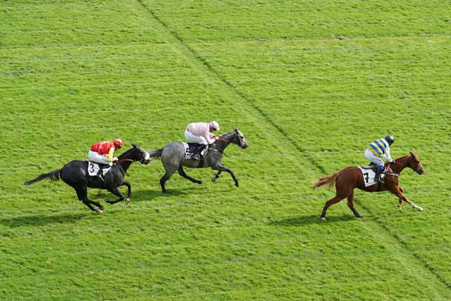Photo d'arrivée de la course pmu PRIX LE GOURZY à AUTEUIL le Samedi 28 septembre 2019