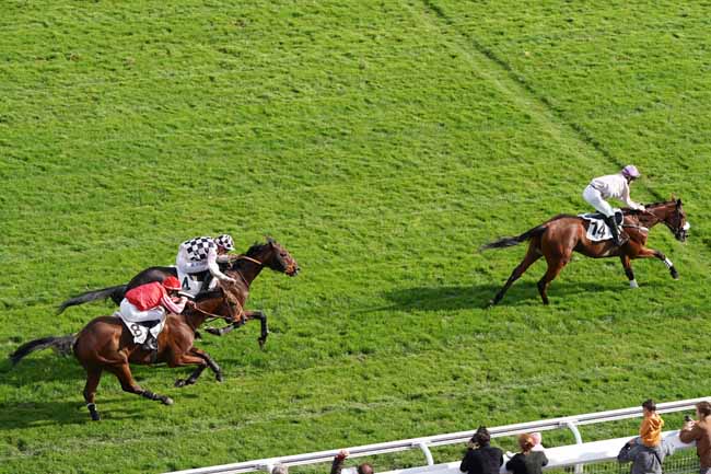 Photo d'arrivée de la course pmu PRIX PRIDE OF KILDARE à AUTEUIL le Samedi 28 septembre 2019