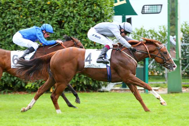 Photo d'arrivée de la course pmu CRITERIUM DE VITESSE à CHANTILLY le Lundi 30 septembre 2019