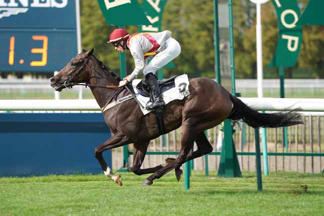 Photo d'arrivée de la course pmu PRIX DU RALLYE TROIS FORETS à CHANTILLY le Lundi 30 septembre 2019
