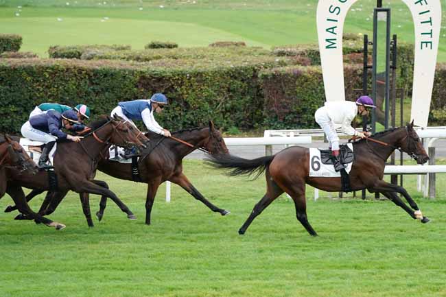 Photo d'arrivée de la course pmu PRIX DU BRIONNAIS à MAISONS-LAFFITTE le Mardi 1 octobre 2019