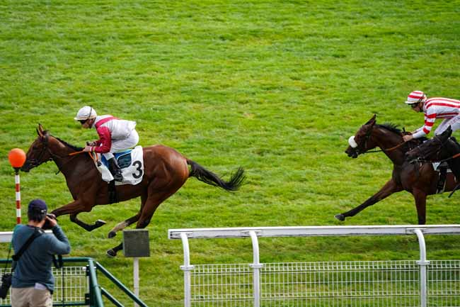 Photo d'arrivée de la course pmu PRIX ESMERALDA à MAISONS-LAFFITTE le Mardi 1 octobre 2019