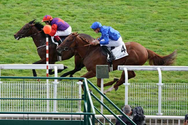 Photo d'arrivée de la course pmu PRIX NINO à MAISONS-LAFFITTE le Mardi 1 octobre 2019