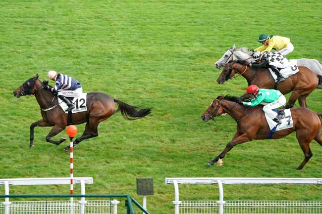 Photo d'arrivée de la course pmu L'EXPRESS à MAISONS-LAFFITTE le Mardi 1 octobre 2019