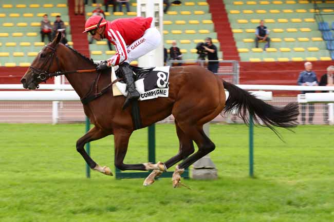 Photo d'arrivée de la course pmu PRIX BUCHEUR à COMPIEGNE le Mardi 1 octobre 2019