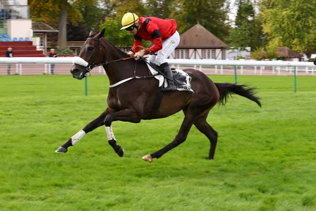 Photo d'arrivée de la course pmu PRIX NORTHERNTOWN à COMPIEGNE le Mardi 1 octobre 2019