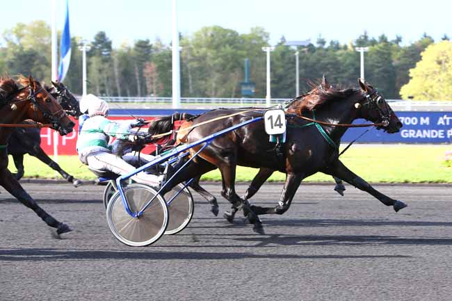 Photo d'arrivée de la course pmu PRIX ATALANTE à PARIS-VINCENNES le Mardi 1 octobre 2019