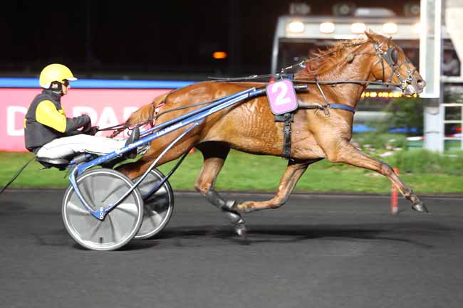 Photo d'arrivée de la course pmu PRIX MYRRHA à PARIS-VINCENNES le Mardi 1 octobre 2019