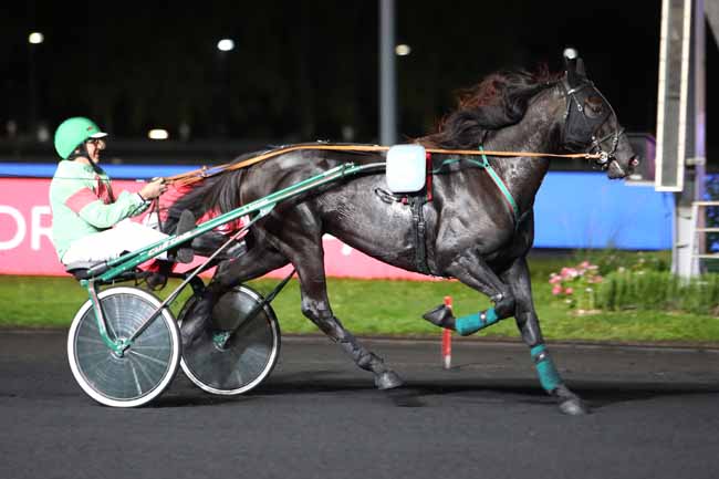 Photo d'arrivée de la course pmu PRIX CONSTANTIA à PARIS-VINCENNES le Mardi 1 octobre 2019