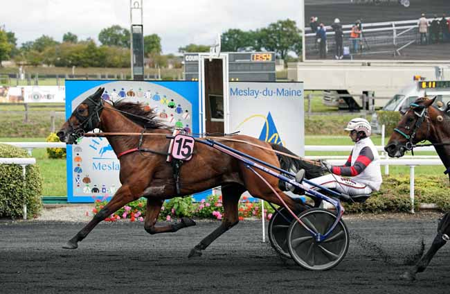 Photo d'arrivée de la course pmu GRAND PRIX ANJOU-MAINE à MESLAY-DU-M. le Mercredi 2 octobre 2019