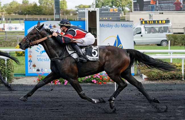 Photo d'arrivée de la course pmu PRIX COULON à MESLAY-DU-M. le Mercredi 2 octobre 2019