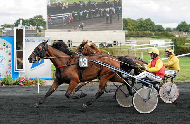 Photo d'arrivée de la course pmu PRIX B2H à MESLAY-DU-M. le Mercredi 2 octobre 2019