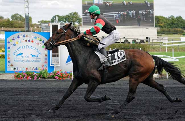 Photo d'arrivée de la course pmu PRIX V AND B à MESLAY-DU-M. le Mercredi 2 octobre 2019