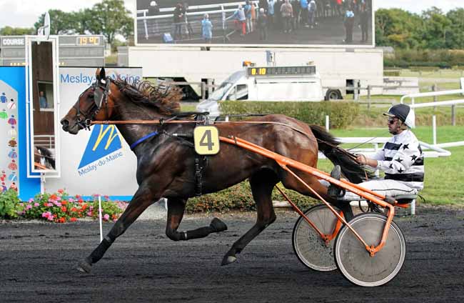 Photo d'arrivée de la course pmu PRIX DES ALLOUETTES à MESLAY-DU-M. le Mercredi 2 octobre 2019