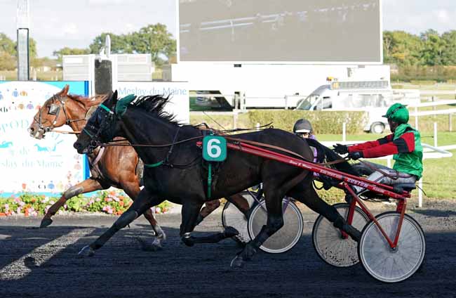 Photo d'arrivée de la course pmu PRIX E. LECLERC - CHATEAU-GONTIER à MESLAY-DU-M. le Mercredi 2 octobre 2019