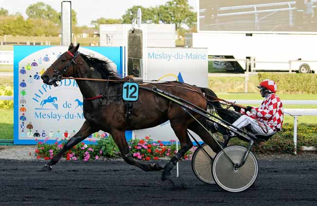 Photo d'arrivée de la course pmu PRIX DES AMBULANCES BEAUFILS à MESLAY-DU-M. le Mercredi 2 octobre 2019
