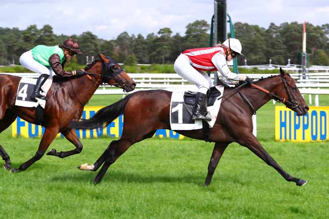 Photo d'arrivée de la course pmu PRIX DES NOISETIERS à FONTAINEBLEAU le Mercredi 2 octobre 2019