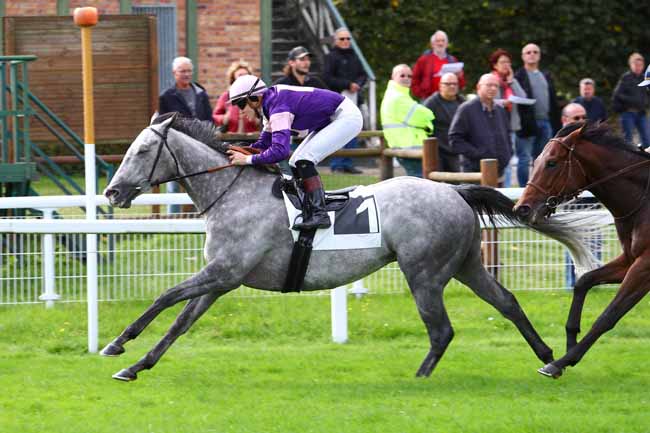 Photo d'arrivée de la course pmu PRIX DU ROCHER CASSEPOT à FONTAINEBLEAU le Mercredi 2 octobre 2019