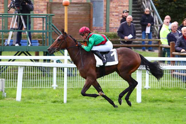 Photo d'arrivée de la course pmu PRIX DU ROCHER DE LA TORTUE à FONTAINEBLEAU le Mercredi 2 octobre 2019
