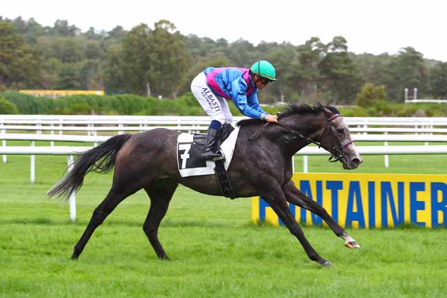 Photo d'arrivée de la course pmu PRIX DES GRANDS CERFS à FONTAINEBLEAU le Mercredi 2 octobre 2019