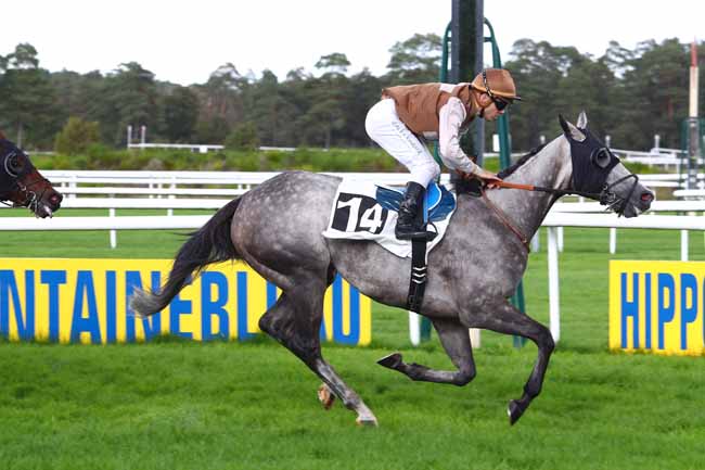 Photo d'arrivée de la course pmu PRIX JOUR DE GALOP à FONTAINEBLEAU le Mercredi 2 octobre 2019
