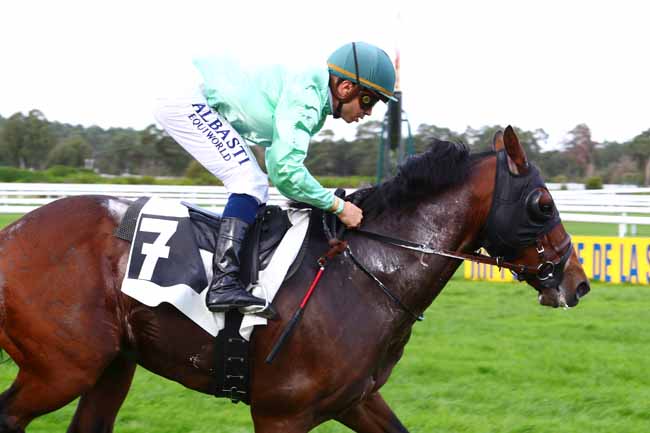 Photo d'arrivée de la course pmu PRIX DES ROCHERS DE FONTAINEBLEAU à FONTAINEBLEAU le Mercredi 2 octobre 2019