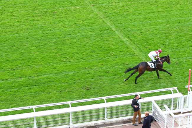 Photo d'arrivée de la course pmu PRIX ISOPANI à AUTEUIL le Jeudi 3 octobre 2019
